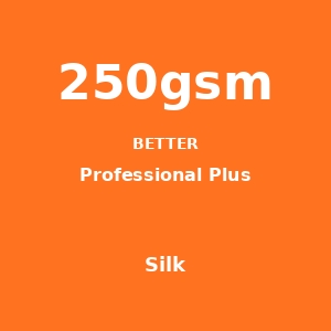 Silk 250gsm
